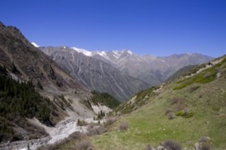 Гостиницы Оша