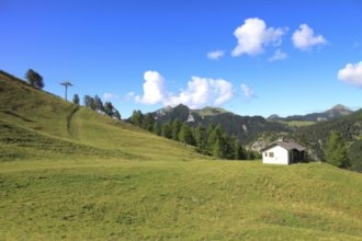 Гостиницы Тризенберга