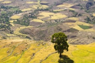 Гостиницы Лалибэлы