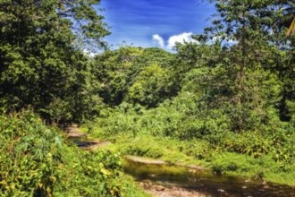 Гостиницы Сент-Люса