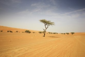 Гостиницы Эля Хабар