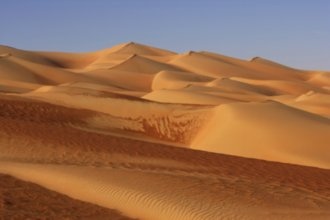 Гостиницы Таифа