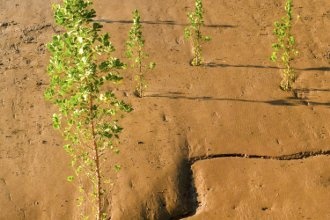 Гостиницы Нуадибу