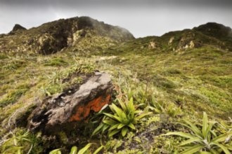 Гостиницы Вь -Фора