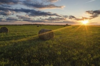 Гостиницы Швентого
