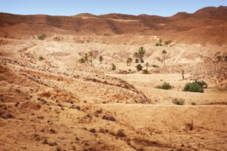 Гостиницы Мидоуна