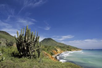 Гостиницы Порламара