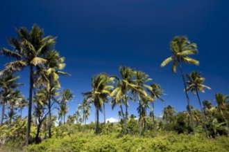 Гостиницы Мороней