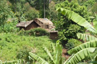 Гостиницы Лубумбаши