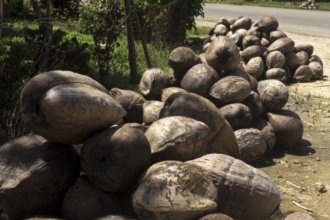 Гостиницы Нукуалофы