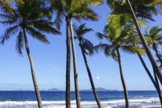 Гостиницы Родней Бэй