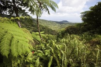 Гостиницы Сент-Ана