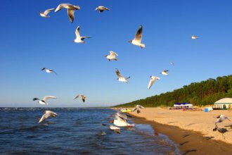 Гостиницы Юрмалы