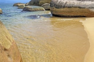 Гостиницы Прой