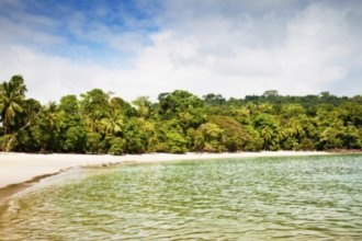 Гостиницы Тамариндо