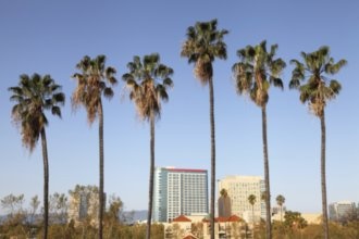 Гостиницы Сан-Хосе