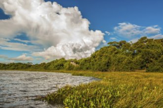 Гостиницы Острова Сайпан