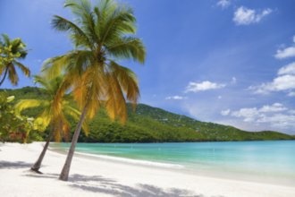 Гостиницы Острова Бекия