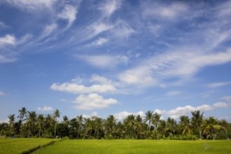 Гостиницы Острова Малого Кайман