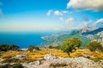 Гостиницы Майорки