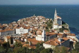 Гостиницы Пирана