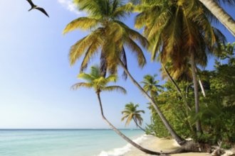 Гостиницы Острова Тобаго