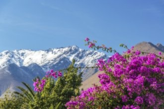 Гостиницы Ла-Серены