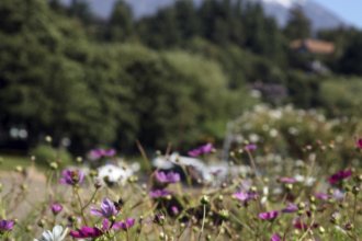 Гостиницы Пукона