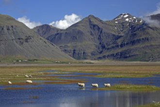 Гостиницы Хофна