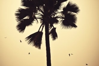 Гостиницы Бакау