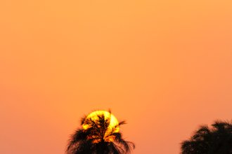 Гостиницы Биджило