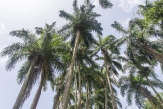 Гостиницы Зандерижа