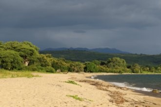 Гостиницы Зомбы