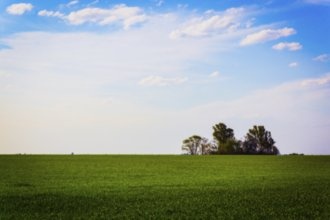 Гостиницы Кордобы