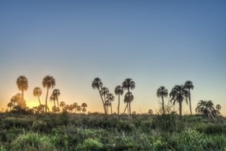 Гостиницы Мара-дель-Плата