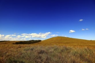 Гостиницы Колонии дел Сакраменто