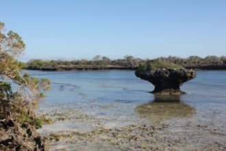 Гостиницы Диани