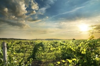 Гостиницы Феодосии