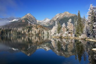 Гостиницы Попрада