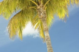 Гостиницы Ноорда