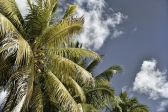 Гостиницы Маригота