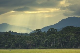 Гостиницы Ла-Сейбы