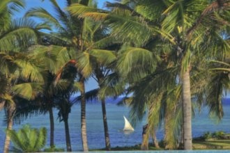 Гостиницы Пембы