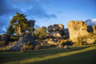 Гостиницы Куэнка