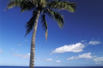 Гостиницы Сен-Лё